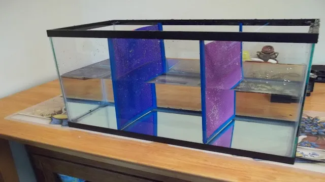 How to Make a Homemade Aquarium Divider: A Step-by-Step Guide for Fish Tank Owners