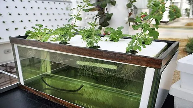 How to Make a Hydroponic Aquarium: Step-by-Step Guide for Indoor Gardening