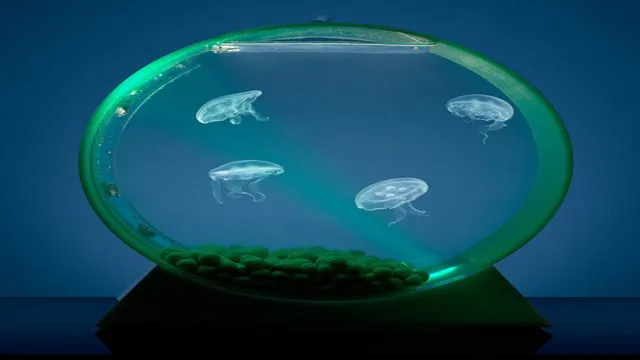 how to make a jellyfish aquarium