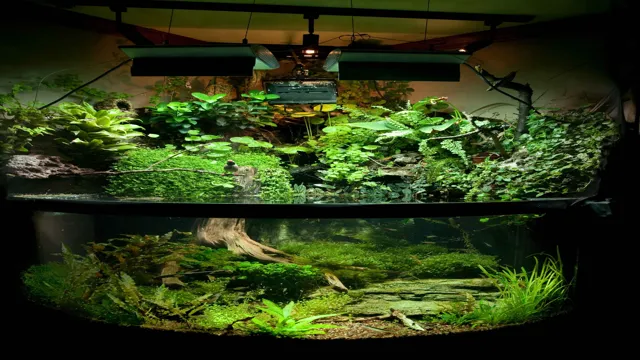 how to make a land and water aquarium