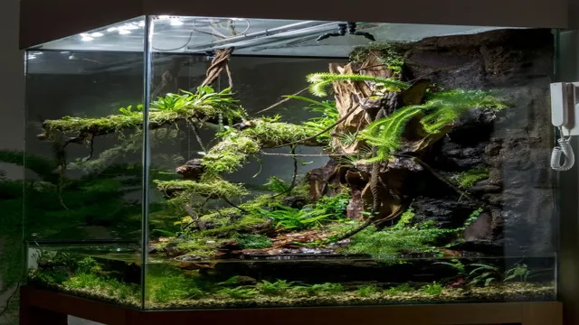how to make a low level water terrarium in aquarium