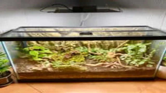 How to Make a Low Level Water Terrarium in Aquarium: A Step-by-Step Guide