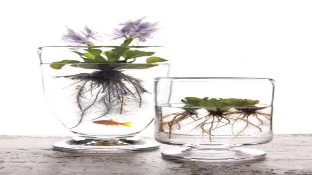 how to make a mini fish aquarium