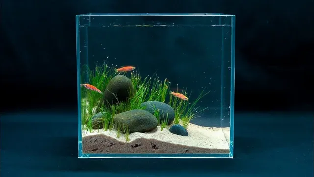 How to Make a Mini Fish Aquarium: A Step-by-Step Guide for Beginners