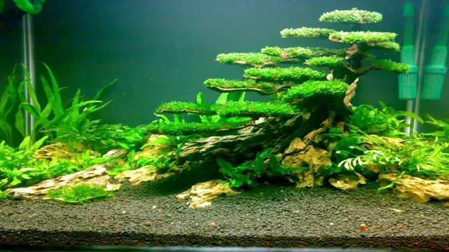 how to make a moss tree for aquarium