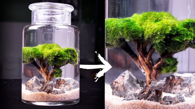 How to Make a Moss Tree for Aquarium: Step-by-Step Guide