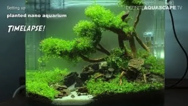 how to make a nano planted aquarium