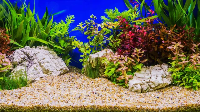 How to Make a Nano Planted Aquarium: Step-by-Step Guide to Create a Lush Green Miniature Ecosystem