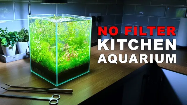 how to make a no filter aquarium
