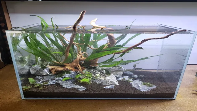 how to make a plant only aquarium