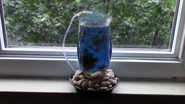 how to make a plastic bottle aquarium