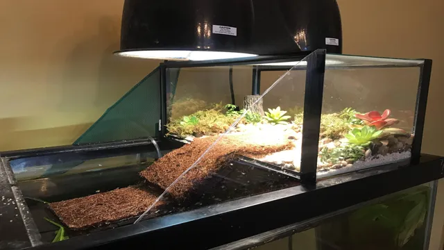 How to Make a Plumbed Turtle Aquarium: Step-by-Step Guide for Beginners