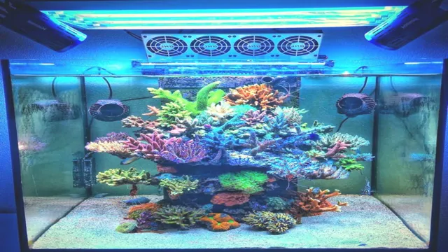 how to make a reef aquarium