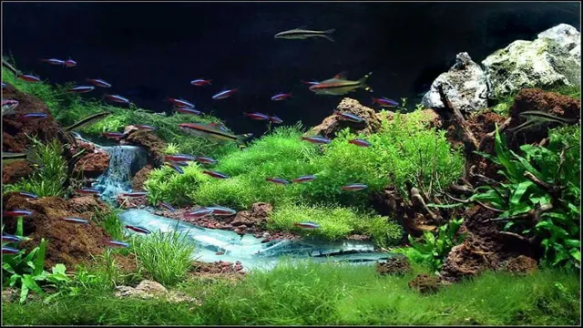 How to Make a River in an Aquarium: A Step-by-Step Guide.