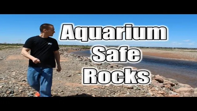 how to make a rock aquarium safe
