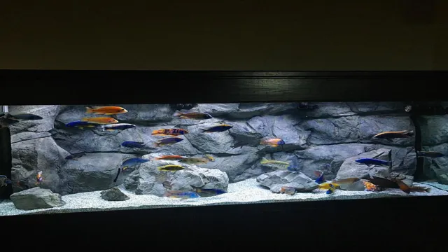 how to make a rock background for an aquarium
