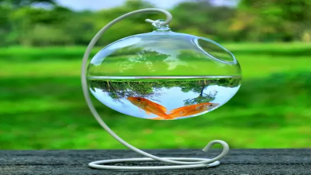 How to Make a Round Glass Aquarium: Step-by-Step Guide and Tips