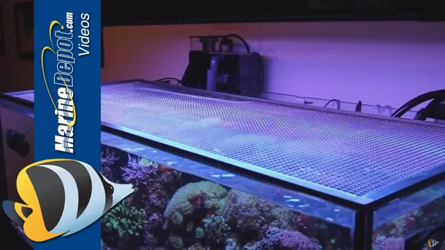 How to Make a Screen Cover for Aquarium: A DIY Guide for Clear Water and Happy Fish