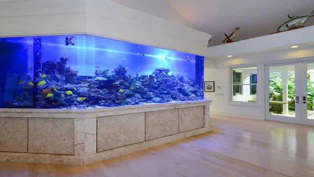 How to Make a Sealant for Aquariums at Home: A Step-by-Step Guide