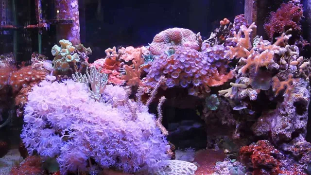 how to make a seawater aquarium