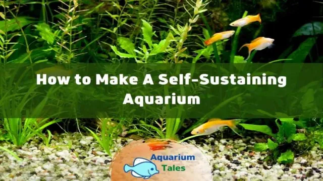 how to make a self sustaining ecosystem aquarium