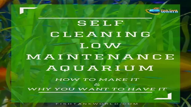 how to make a self sustaining saltwater aquarium