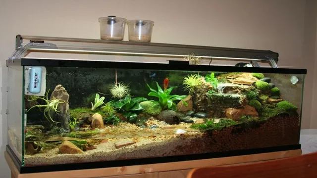 How to Make a Semi-Aquatic Aquarium: Tips and Tricks for a Thriving Habitat