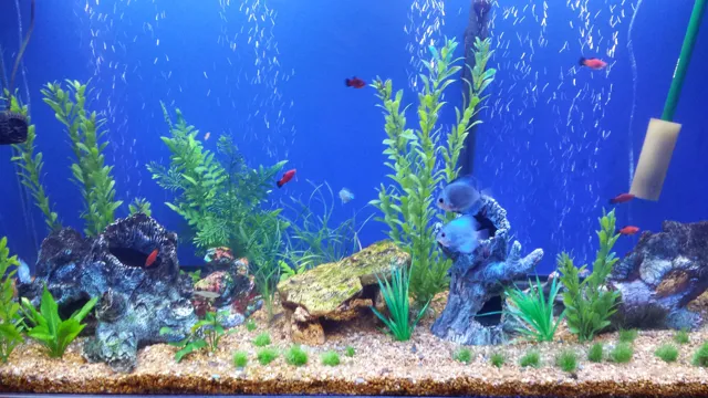 how to make a simple aquarium background