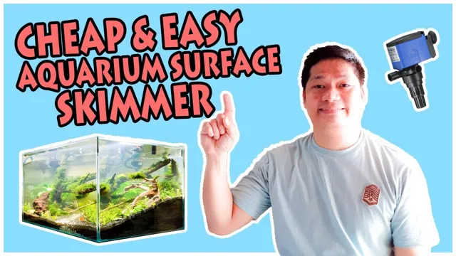 how to make a skimmer for aquarium