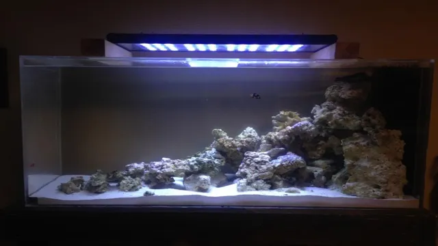 How to Make a Slope in Aquarium: Step-by-Step Guide for a Natural Look