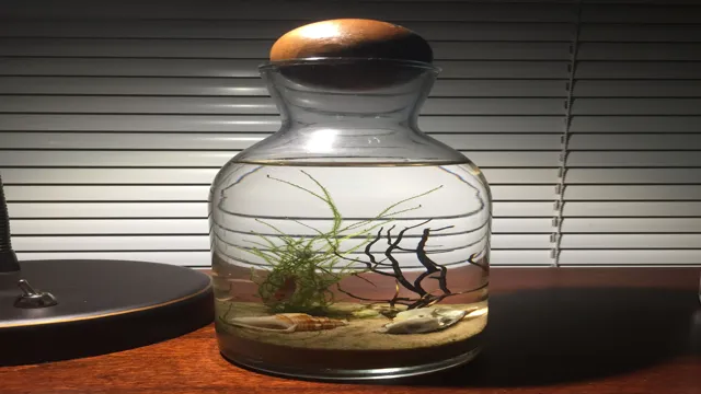 How to Make a Small Aquarium Ecosystem: A Step-by-Step Guide for Beginners