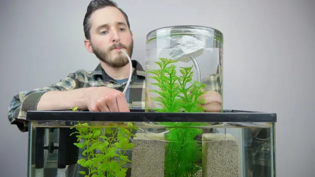 How to Make a Small Aquarium Vacuum: DIY Guide for an Effortless Cleaning