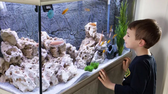 how to make a small fish aquarium at home