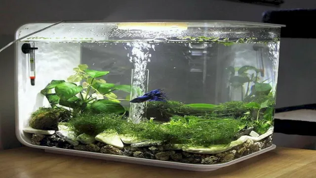 How to Make a Small Fish Aquarium at Home: Tips and Tricks for Creating a Stunning Setup