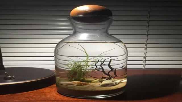how to make a small shrimp aquarium