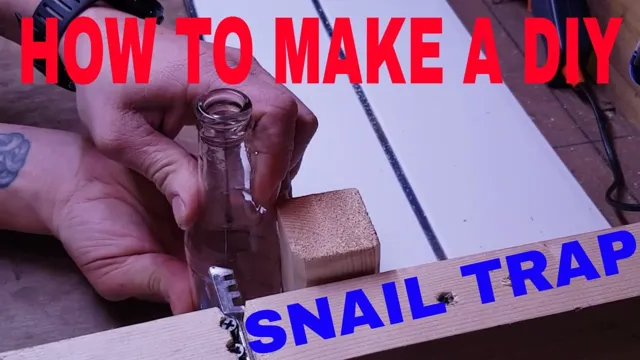 How to Make a Snail Trap Aquarium: 7 Easy Steps for Effective Control