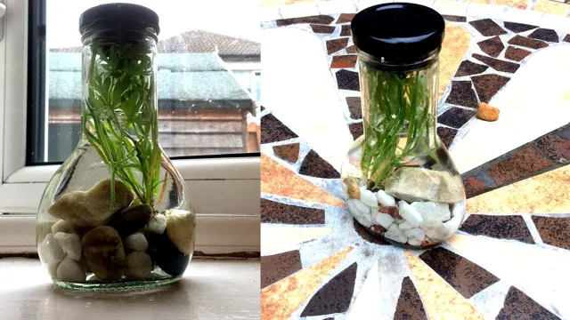 how to make a soda bottle aquarium