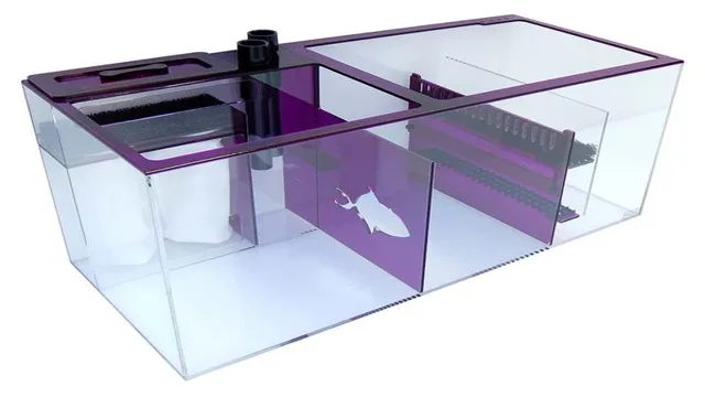 how to make a sump with 2 smaller aquariums