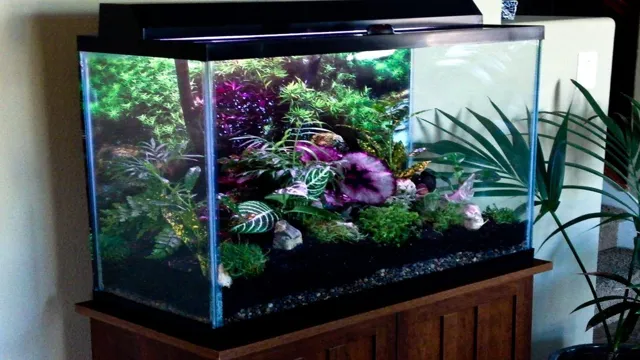 how to make a terrarium aquarium