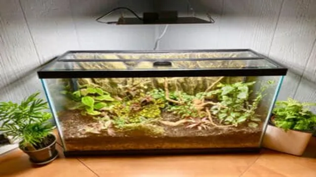 how to make a terrarium out of an aquarium