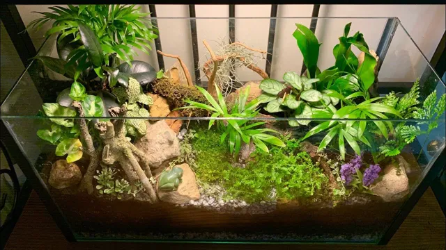 how to make a terrarium out of an aquarium