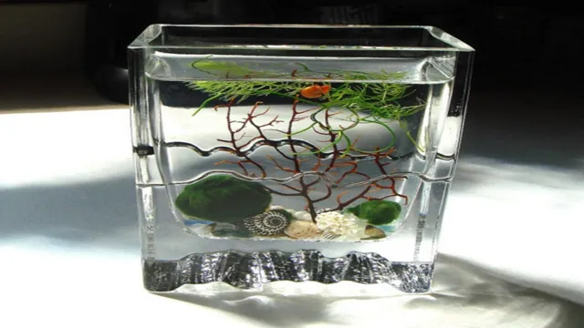 How to Make a Tiny Aquarium: Beginner’s Guide to Creating the Perfect Miniature Tank