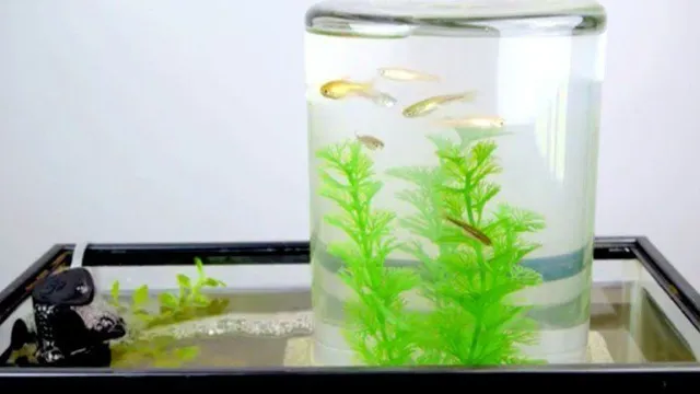 How to Make a Tower Aquarium: Step-by-Step Guide for Your Home or Office