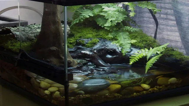 How to Make a Tree Frog Aquarium: Step-by-Step Guide for Beginners