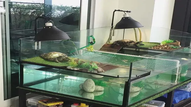 how to make a turtle aquarium tank