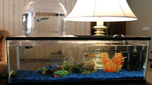 How to Make a Water Bridge Aquarium: Step-by-Step Guide for Beginners