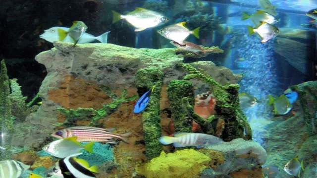 how to make acrylic aquarium tank