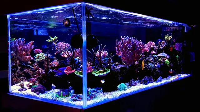 How to Make Acrylic Glass Aquarium: Your Comprehensive Guide