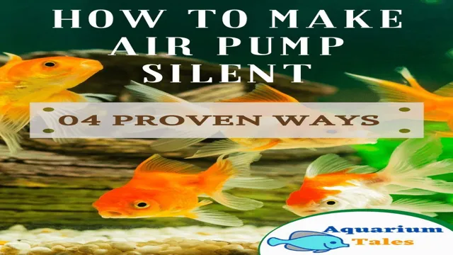 How to Make an Air Pump at Home for Aquarium: A Step-by-Step Guide