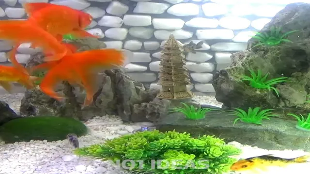 how to make amazing aquarium fountain